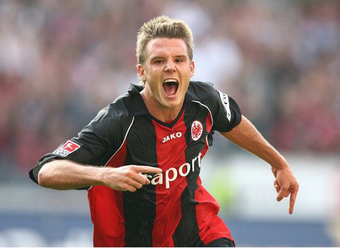 高度的专业 高度的专业